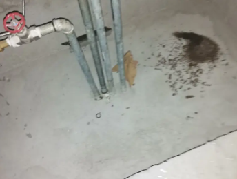 新河卫生间测漏水价格明细